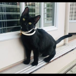 Meet your Posher, Kimberly